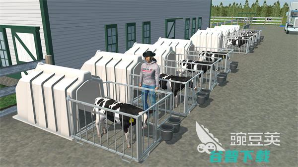 美国下载正版美国安卓版下载链