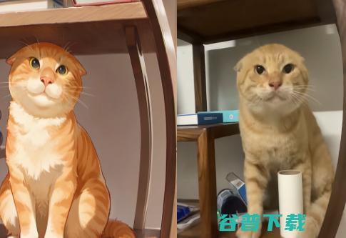 耄耋大战Mur猫，奇怪的皮肤又增加了