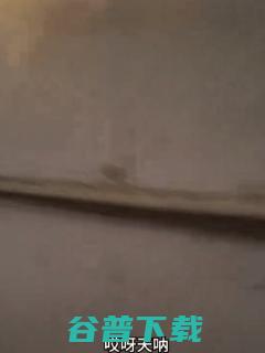 探店新使命：在猎奇和窜稀之间走钢丝