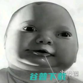 探店新使命：在猎奇和窜稀之间走钢丝