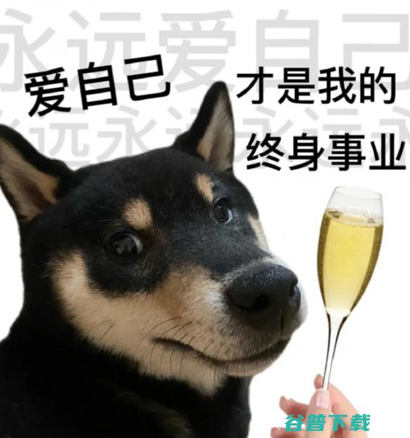 又到了一年一度的西方情人节，你会怎样度过呢？