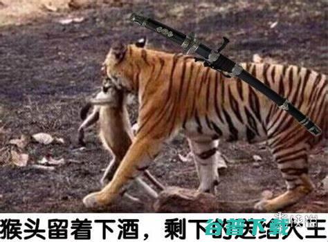 80美元，当玩家怨种？你会超出预算购买喜欢的游戏吗？