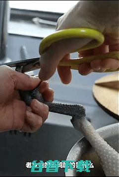 滁州生态面包爆火，让狗当评委是“天才”？