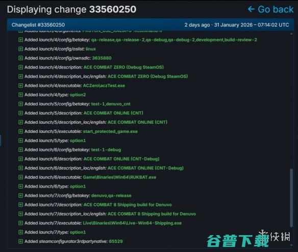 又一款大作沦陷？SteamDB泄露《皇牌空战8》有D加密