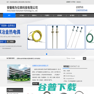 安徽格为仪表科技有限公司