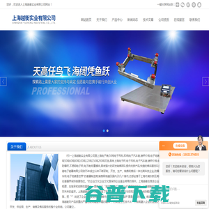 上海电子磅 上海电子磅