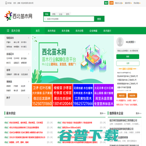 西北苗木网