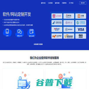 软件网站定制开发公司