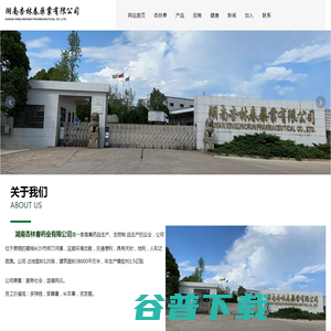 湖南杏林春药业有限公司