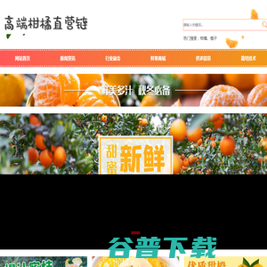 高端柑橘直营链