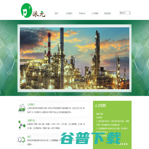 上海派元新材料科技有限公司