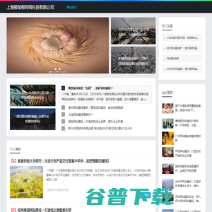 上海柳楚柳网络科技有限公司