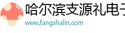 哈尔滨支源礼电子科技有限公司