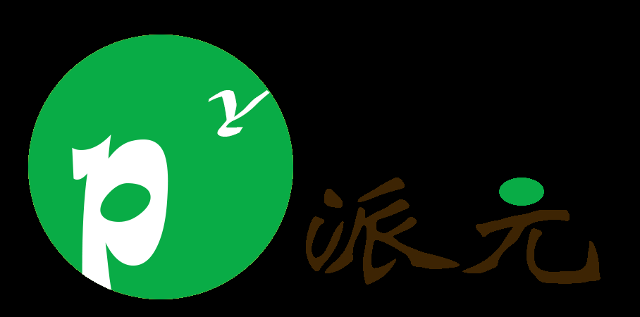 上海派元新材料科技有限公司