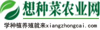 想种菜农业网