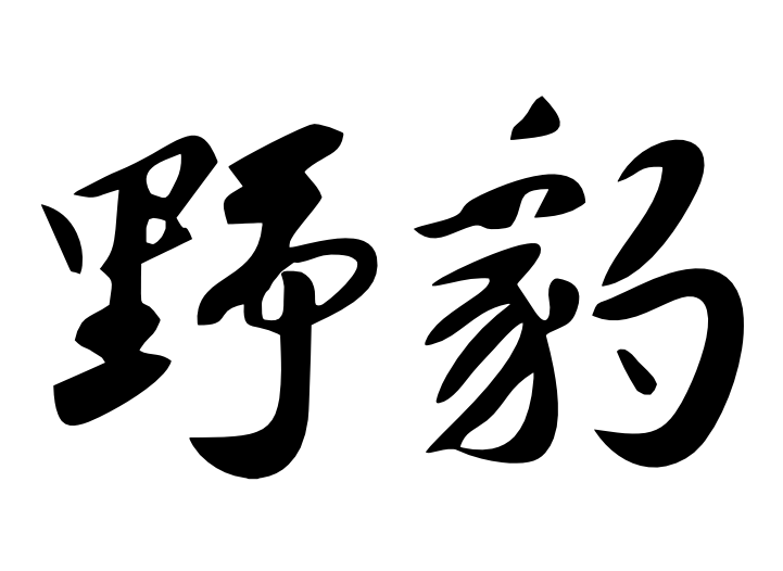 野豹球杆防伪查询